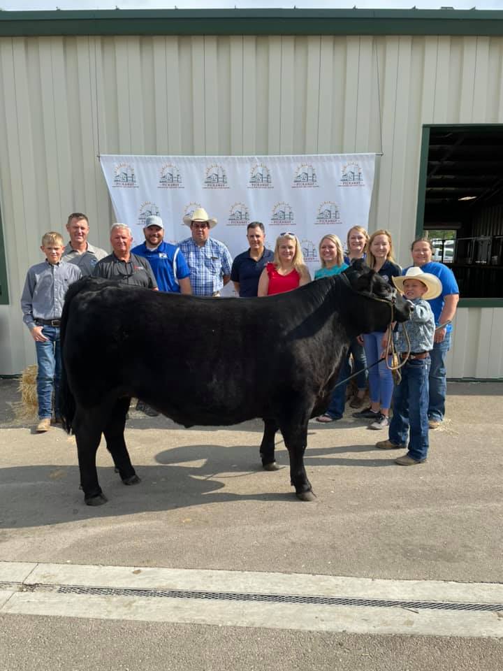 PCCF buys steers and feeds Pickaway County